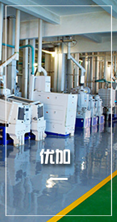 QPQ��ʽ��̎���t